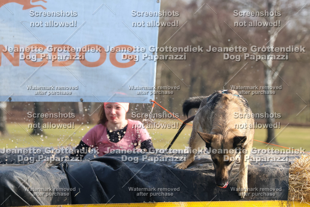 Dog Paparazzi - Strongdog North Mrz26-1776 | Dog Paparazzi Jeanette Grottendiek Fotografie & Videografie - Realisiert mit Pictrs.com