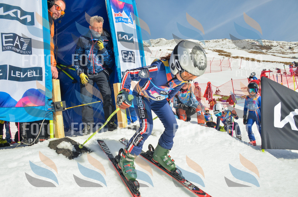 _ELE5197 | holidayphoto