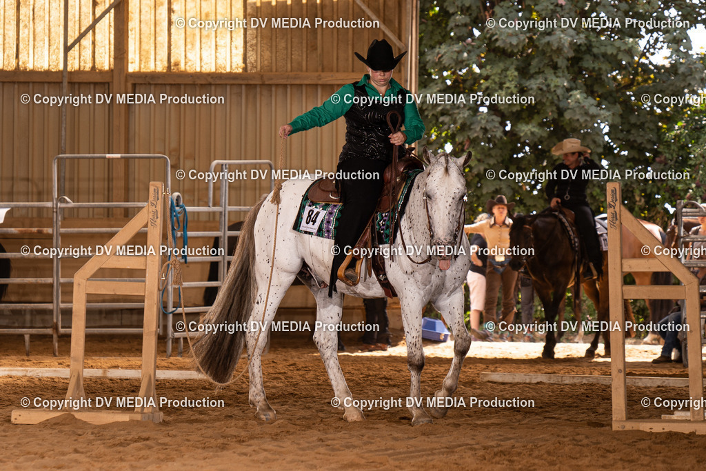 NID00559 | dv-media-shop - Realisiert mit Pictrs.com