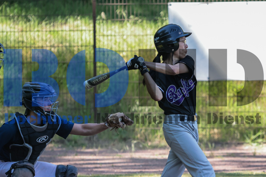 SES_BOCLIP20250510-26 | bond - Realisiert mit Pictrs.com