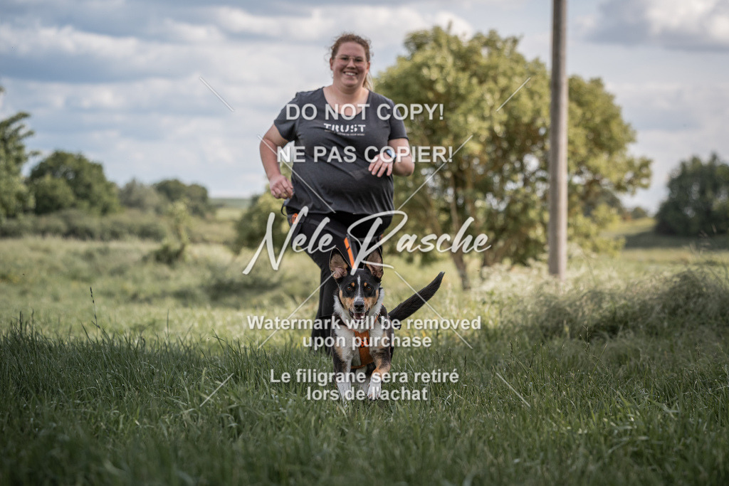 nelerasche_Do-spät_132 | nelerasche