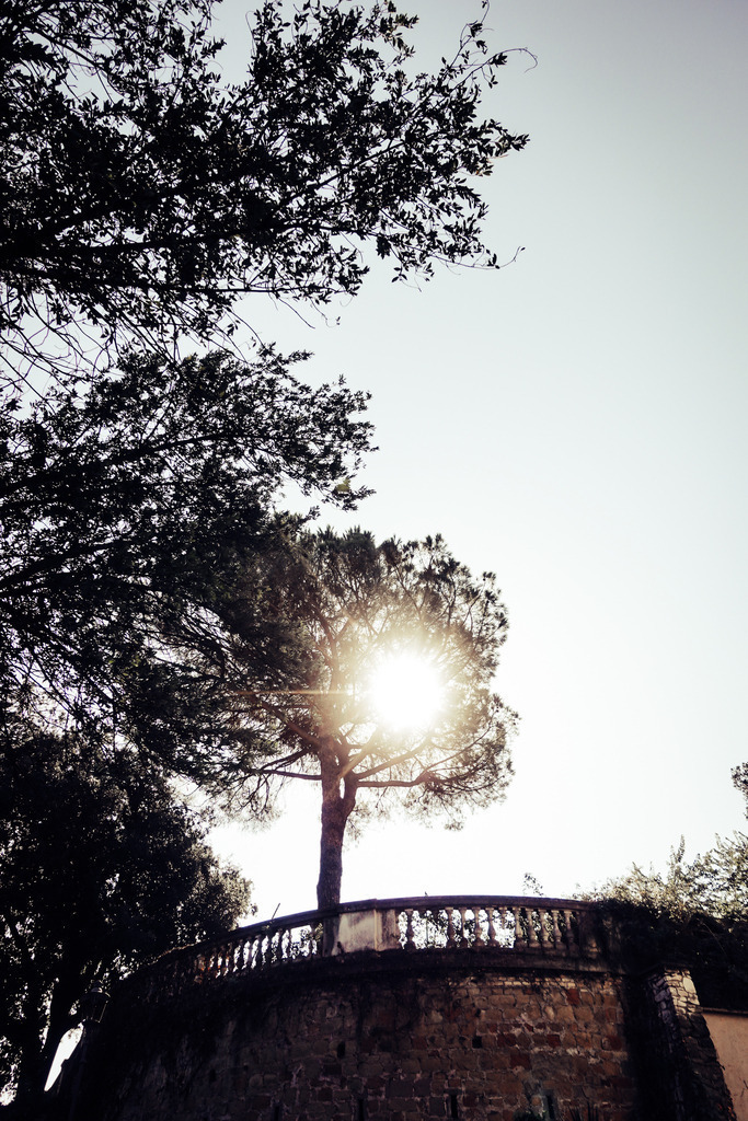 DSC00698 | AHORN PHOTOGRAPHY - Realisiert mit Pictrs.com