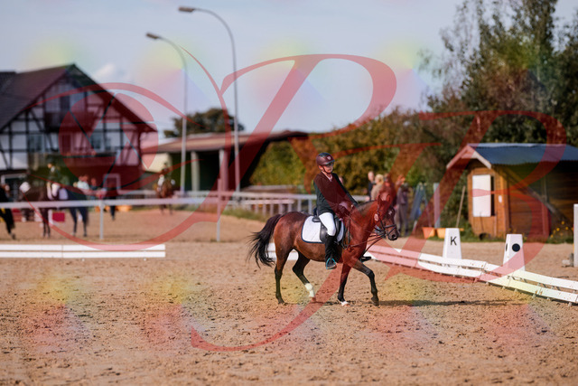 2026_10_03_Siefer-Hof_122038_Z81_20824223 | Professionelle Reitsport-, Turnier- und Eventfotografie von Robert Broda. Galerien mit ausgewählten und bearbeiteten Bildern direkt online ansehen und bestellen.