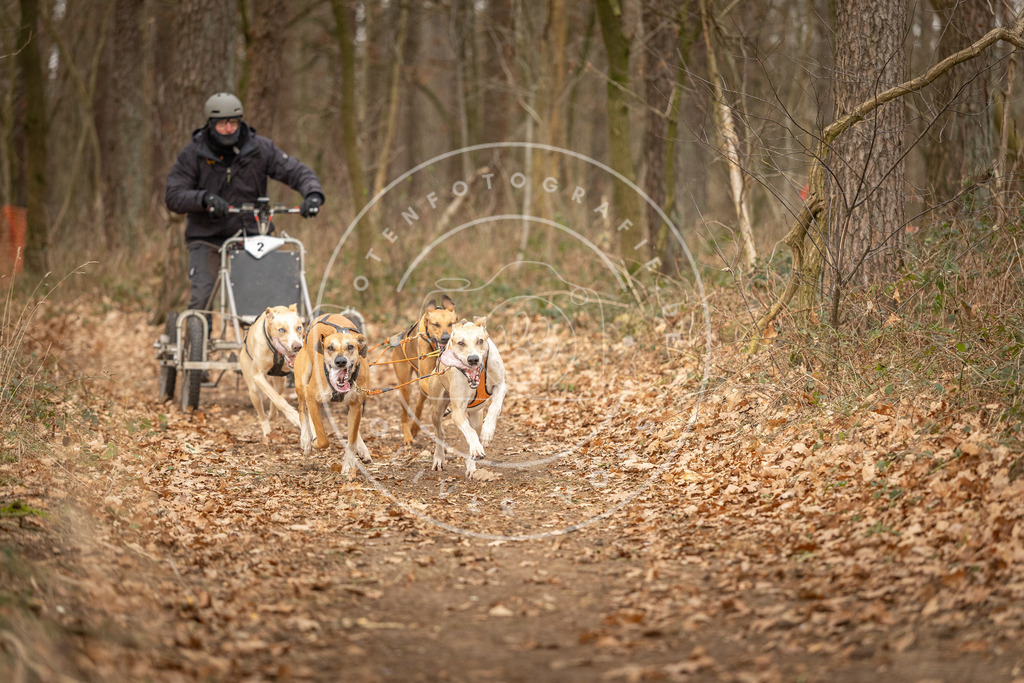 Pfotenfotografie_DV3A8651 | Hundefotografie, Tierfotograf, Pfotenfotografie, Fotoshooting Hund, Hunde Portrait, Hundesport, Hundeportraits, Heideshooting, Hunde, Sportfotograf, Hundefotograf, Turnierhundsport, THS,  - Realisiert mit Pictrs.com
