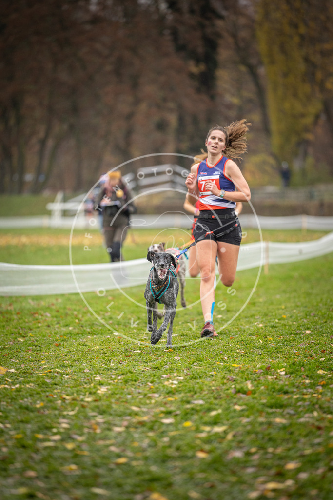 CaniXpix_DV3A9162 | Hundefotografie, Tierfotograf, Pfotenfotografie, Fotoshooting Hund, Hunde Portrait, Hundesport, Hundeportraits, Heideshooting, Hunde, Sportfotograf, Hundefotograf, Turnierhundsport, THS,  - Realisiert mit Pictrs.com