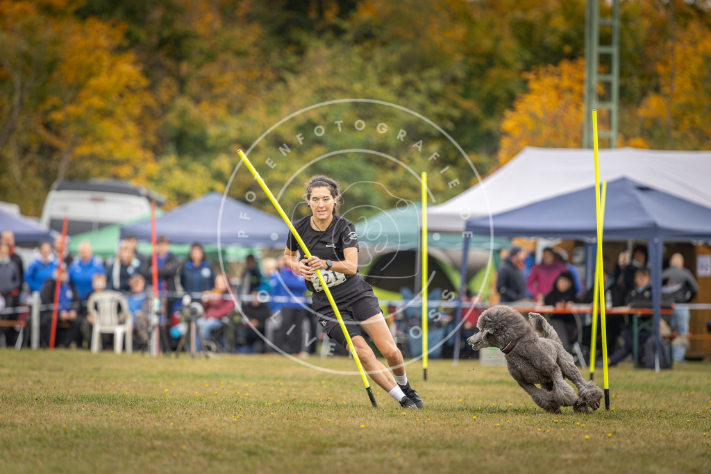 Pfotenfotografie_DV3A3740 | Hundefotografie, Tierfotograf, Pfotenfotografie, Fotoshooting Hund, Hunde Portrait, Hundesport, Hundeportraits, Heideshooting, Hunde, Sportfotograf, Hundefotograf, Turnierhundsport, THS,  - Realisiert mit Pictrs.com