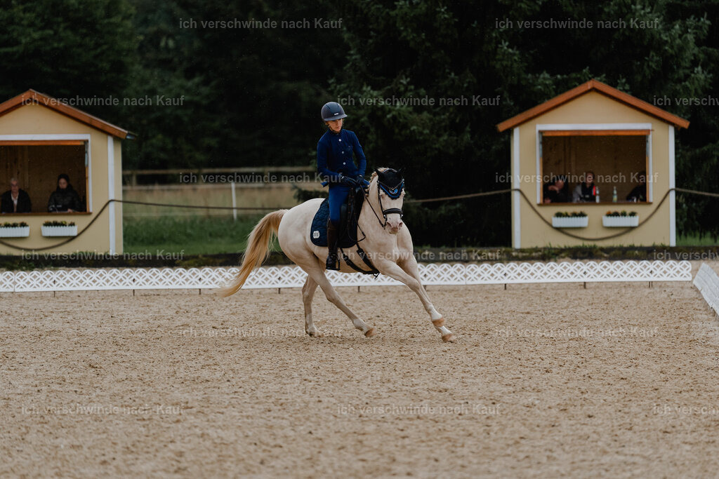 Nici11_FHC2025-8796 | working equitationturnier fotograf videograf stoibphotography marixx film working equitation deutschland reitsport turnierfotografie eventfotografie equestrian events