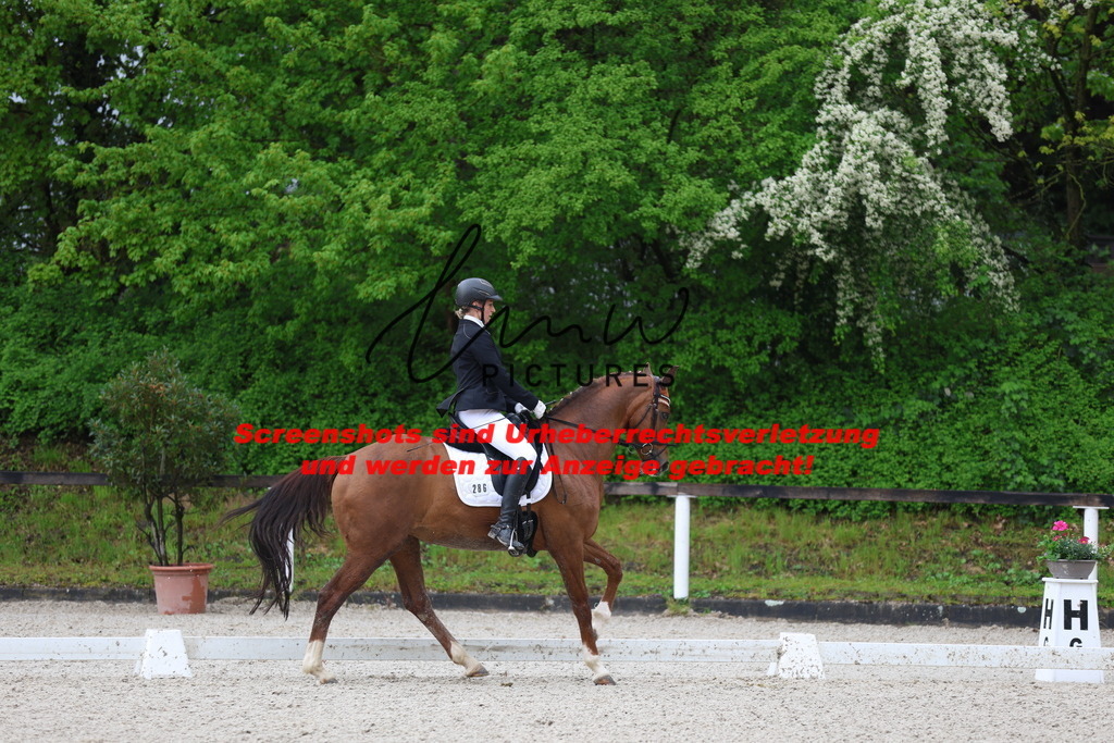 A40A9082 | lmwpictures - Realisiert mit Pictrs.com