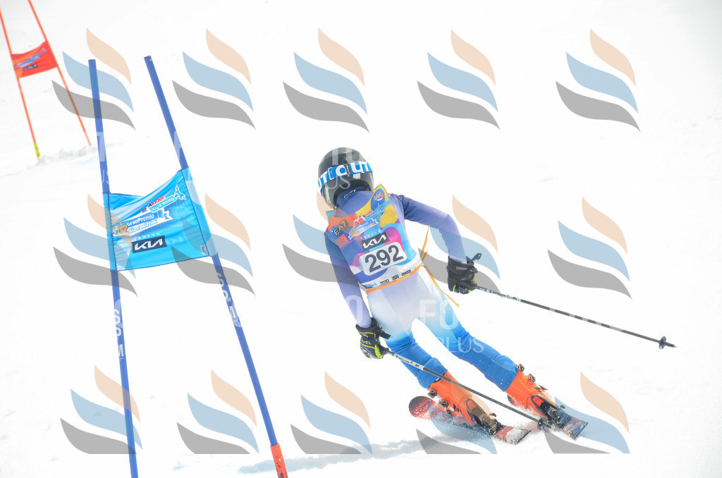 _ELE8130 | holidayphoto