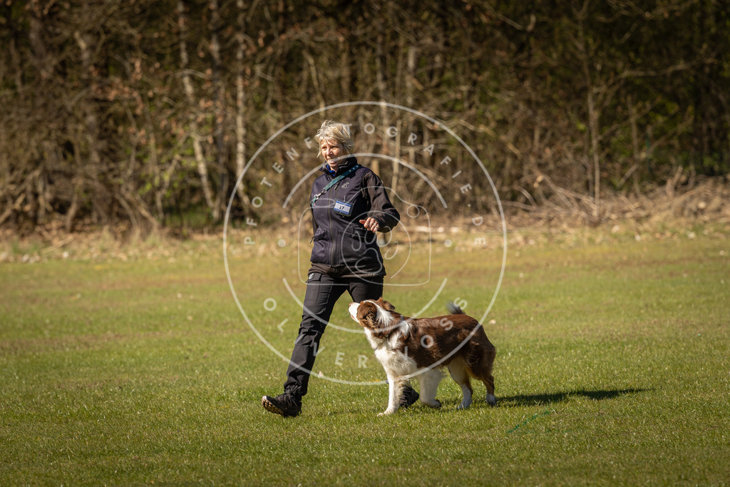 Pfotenfotografie_DV3A0454 | Hundefotografie, Tierfotograf, Pfotenfotografie, Fotoshooting Hund, Hunde Portrait, Hundesport, Hundeportraits, Heideshooting, Hunde, Sportfotograf, Hundefotograf, Turnierhundsport, THS,  - Realisiert mit Pictrs.com