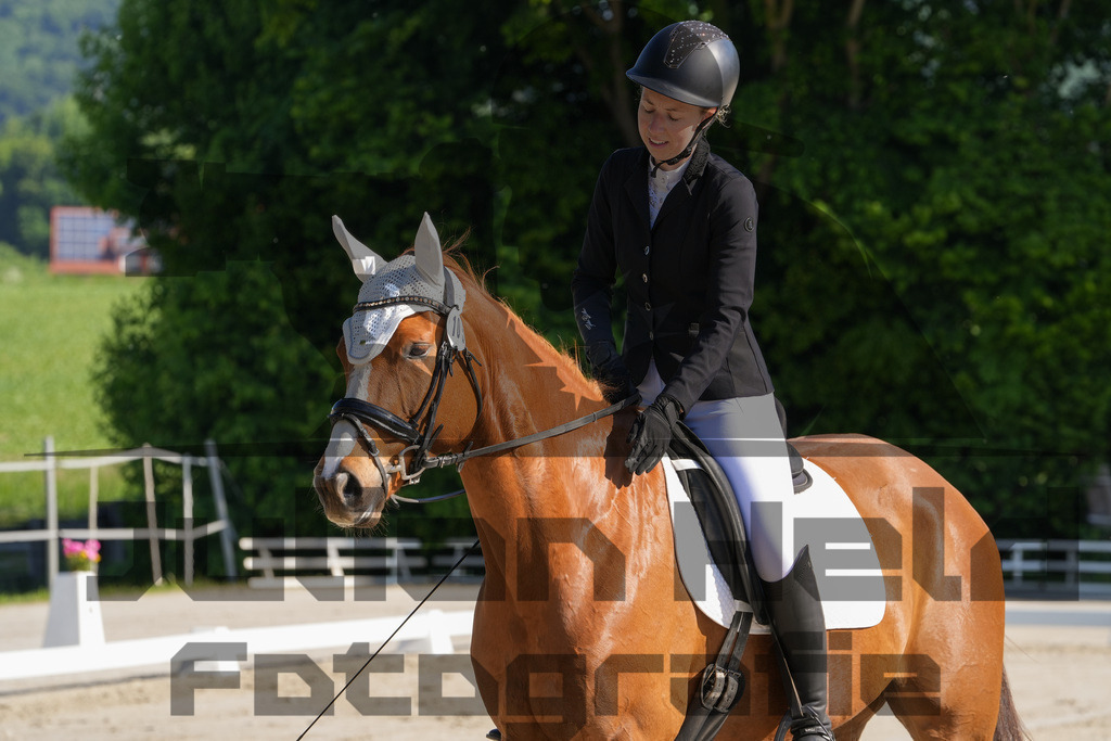 DSC02837 | Julian Held Fotografie - Realisiert mit Pictrs.com