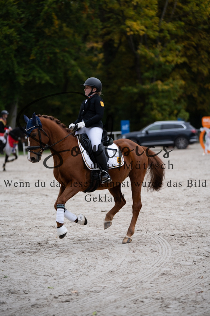 A7V01251 | Turnier/Reitfotograf