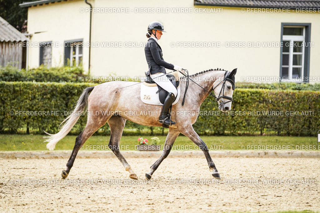 DSC01469 | Pferdegrafie