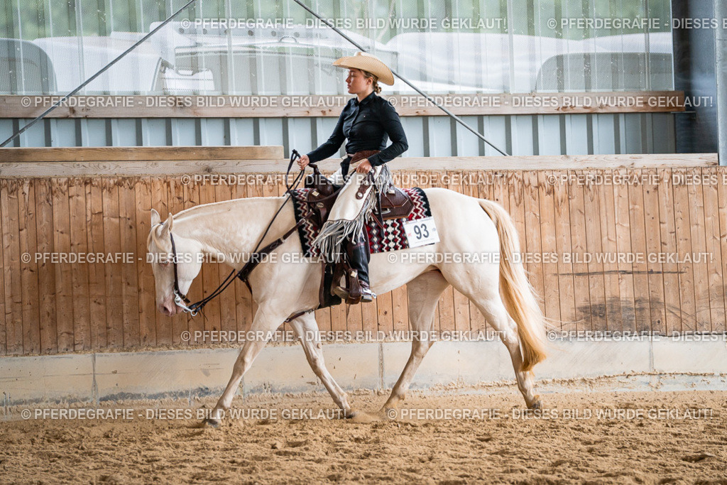 DSC00622 | Pferdegrafie