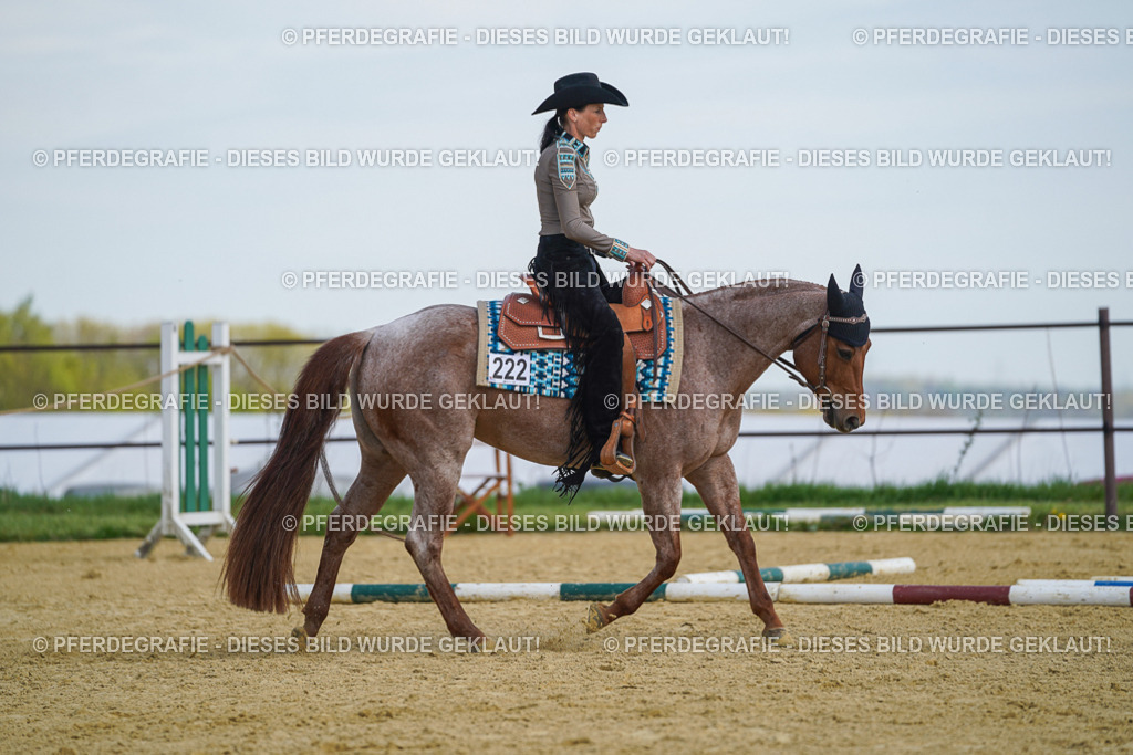 DSC04854 | Pferdegrafie