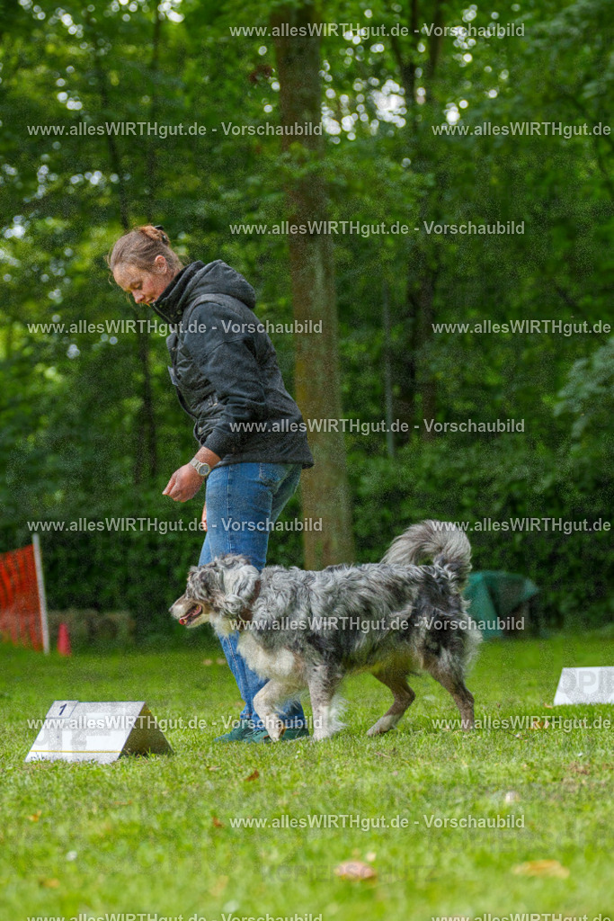 @allesWIRTHgut_Tierfotografie - www.allesWIRTHgut.de - 7R502025 | Professionelle Tierfotografie in Mönchengladbach von Daniel Wirth (allesWIRTHgut). Liebevolle & natürliche Bilder von Hunden & Katzen für unvergessliche Erinnerungen.