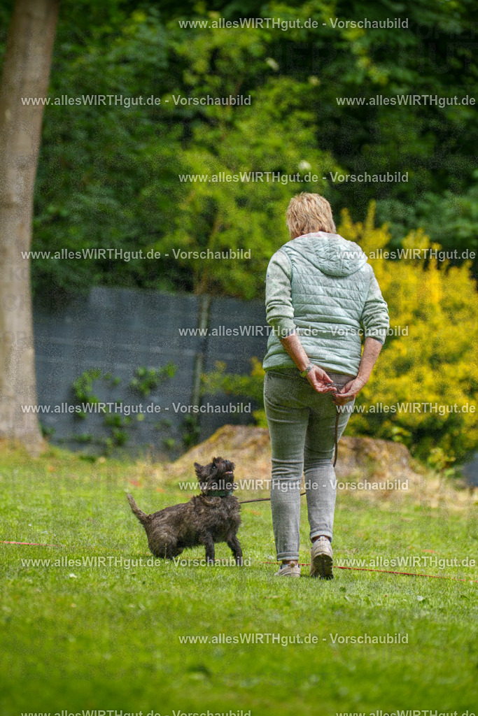 @allesWIRTHgut_Tierfotografie - www.allesWIRTHgut.de - 130314-7R509740 | Professionelle Tierfotografie in Mönchengladbach von Daniel Wirth (allesWIRTHgut). Liebevolle & natürliche Bilder von Hunden & Katzen für unvergessliche Erinnerungen.