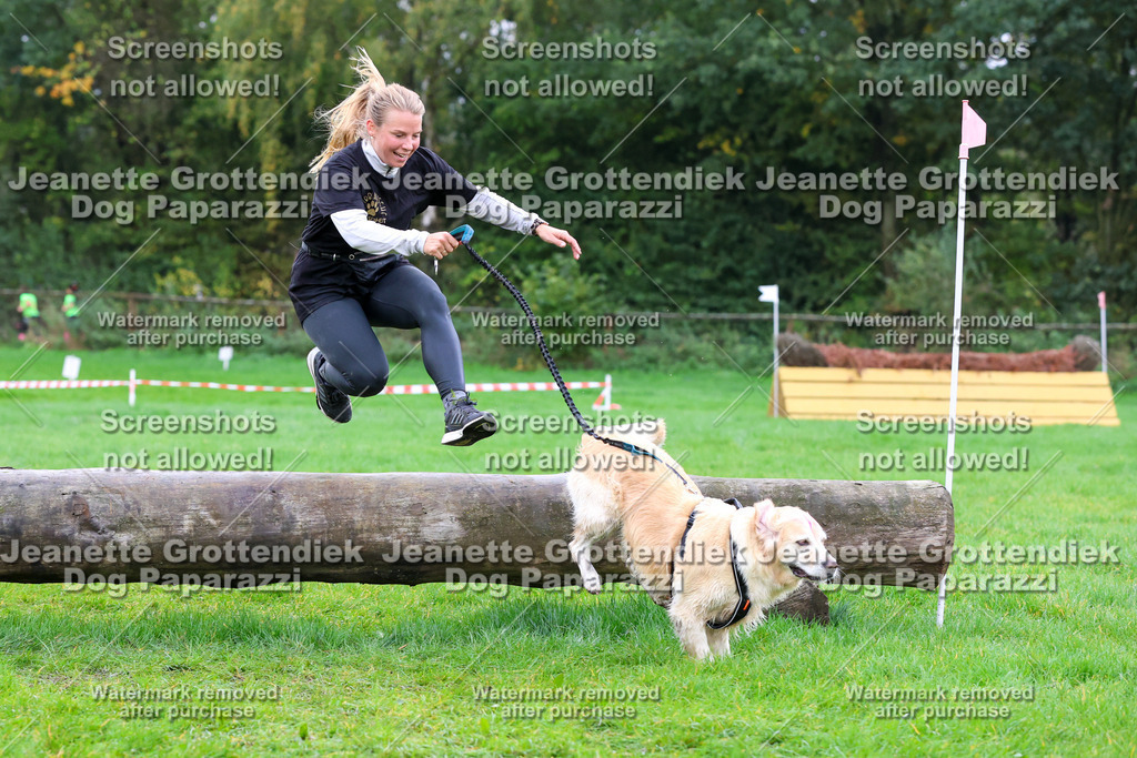 Dog Paparazzi -  SD1026-1893 | Dog Paparazzi Jeanette Grottendiek Fotografie & Videografie - Realisiert mit Pictrs.com