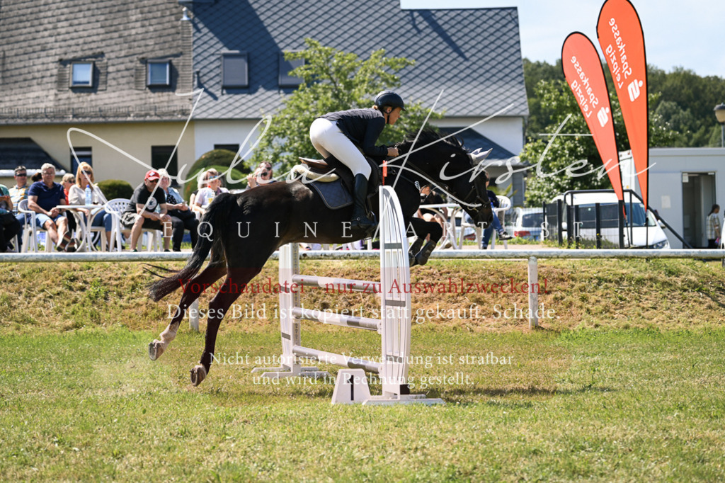 DSC_0472 | Pferde- und Turnierfotografie in Westsachsen. Pferdeportraits, Auftragszeichnungen und intuitive Kunst.