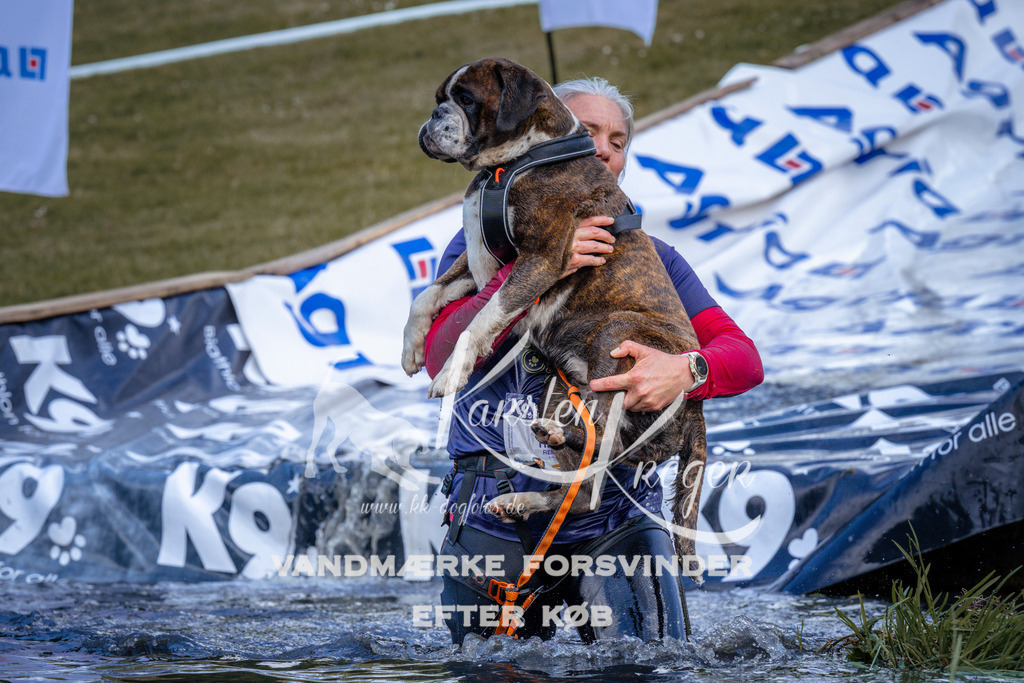_ZZ921080922 | kk-dogfotos