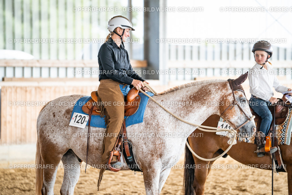 DSC08723 | Pferdegrafie