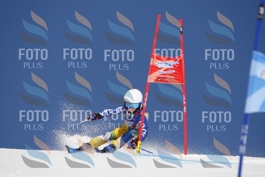 _W1G1745 | holidayphoto