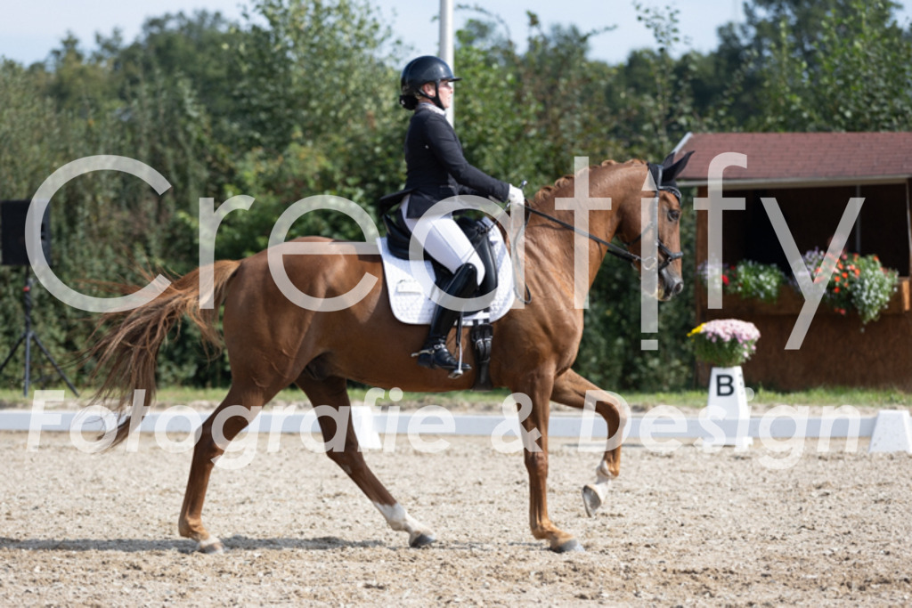 IMG_3324 | Creatify Fotografie