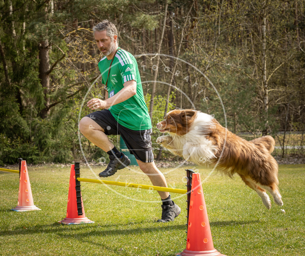 Pfotenfotografie_DV3A6669 | Hundefotografie, Tierfotograf, Pfotenfotografie, Fotoshooting Hund, Hunde Portrait, Hundesport, Hundeportraits, Heideshooting, Hunde, Sportfotograf, Hundefotograf, Turnierhundsport, THS,  - Realisiert mit Pictrs.com