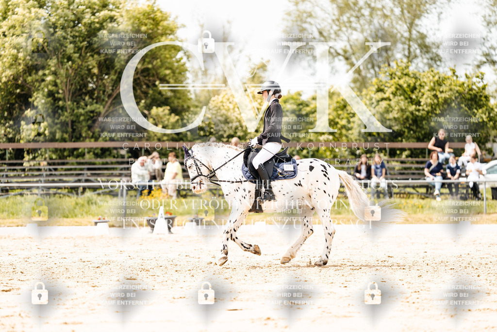 CK902395 | Turnierfotografie Pferdefotografie Trier Rheinland-Pfalz Pferdesport Reitsport Tierfotografie Sportfotografie Pferdevideo Pferdevideografie Equestrianvideography equestrianphotography  - Realisiert mit Pictrs.com