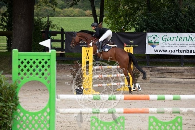 2B4A1534 | pixelfaenger - Realisiert mit Pictrs.com