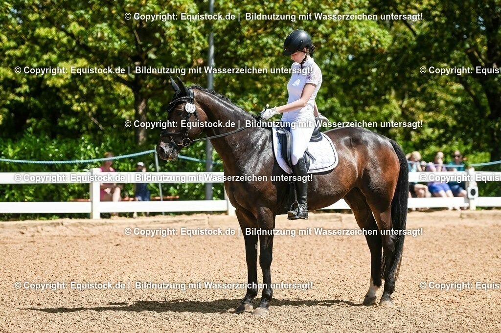 20230715_02_Dressurreiterprüfung Kl.L_0043 | equistock