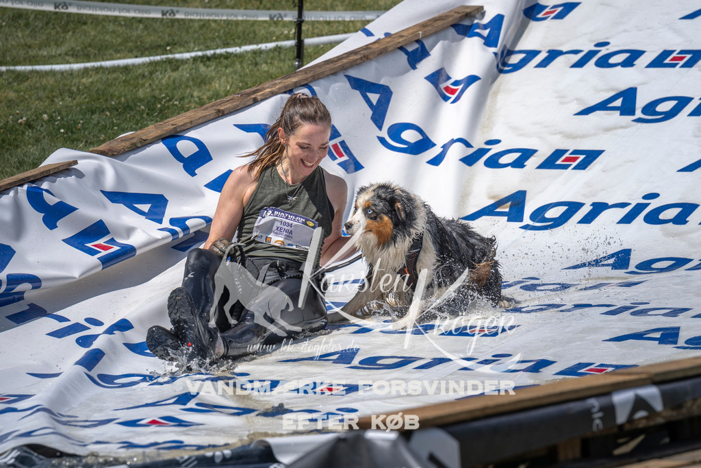 1240_ZZ98522 | kk-dogfotos