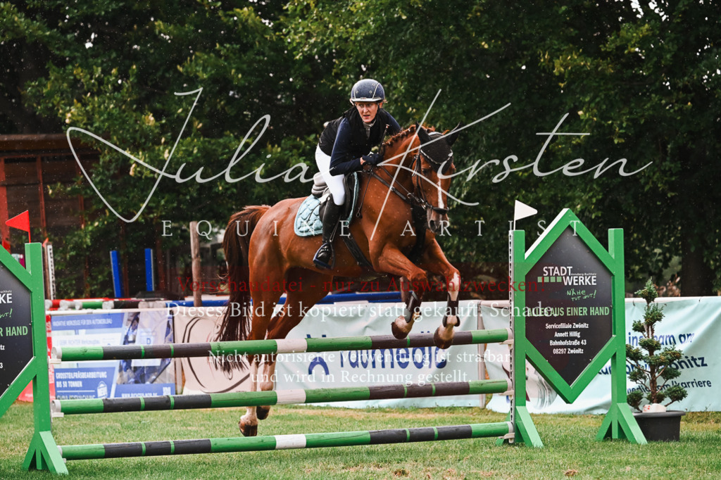 DSC_6384 | Pferde- und Turnierfotografie in Westsachsen. Pferdeportraits, Auftragszeichnungen und intuitive Kunst.