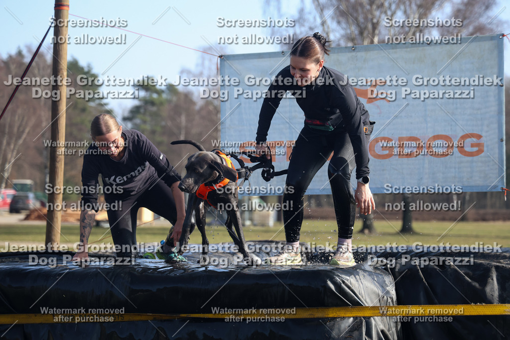 Dog Paparazzi - Strongdog North Mrz26-1380 | Dog Paparazzi Jeanette Grottendiek Fotografie & Videografie - Realisiert mit Pictrs.com