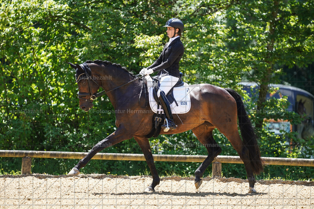 20240705-FAH03614 | Turnierbilder von Grafing, Reitsportbilder, Turnierfotos, Turnierfotografen Bayern, Pferdefotograf, Fotoagentur Herrmann