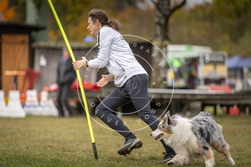 Pfotenfotografie_DV3A5466 | Hundefotografie, Tierfotograf, Pfotenfotografie, Fotoshooting Hund, Hunde Portrait, Hundesport, Hundeportraits, Heideshooting, Hunde, Sportfotograf, Hundefotograf, Turnierhundsport, THS,  - Realisiert mit Pictrs.com