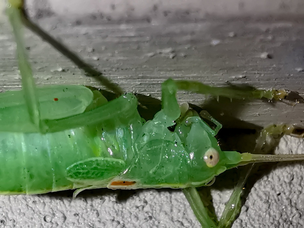 PSX_20230910_223338 | mtkfoto_ - Realisiert mit Pictrs.com