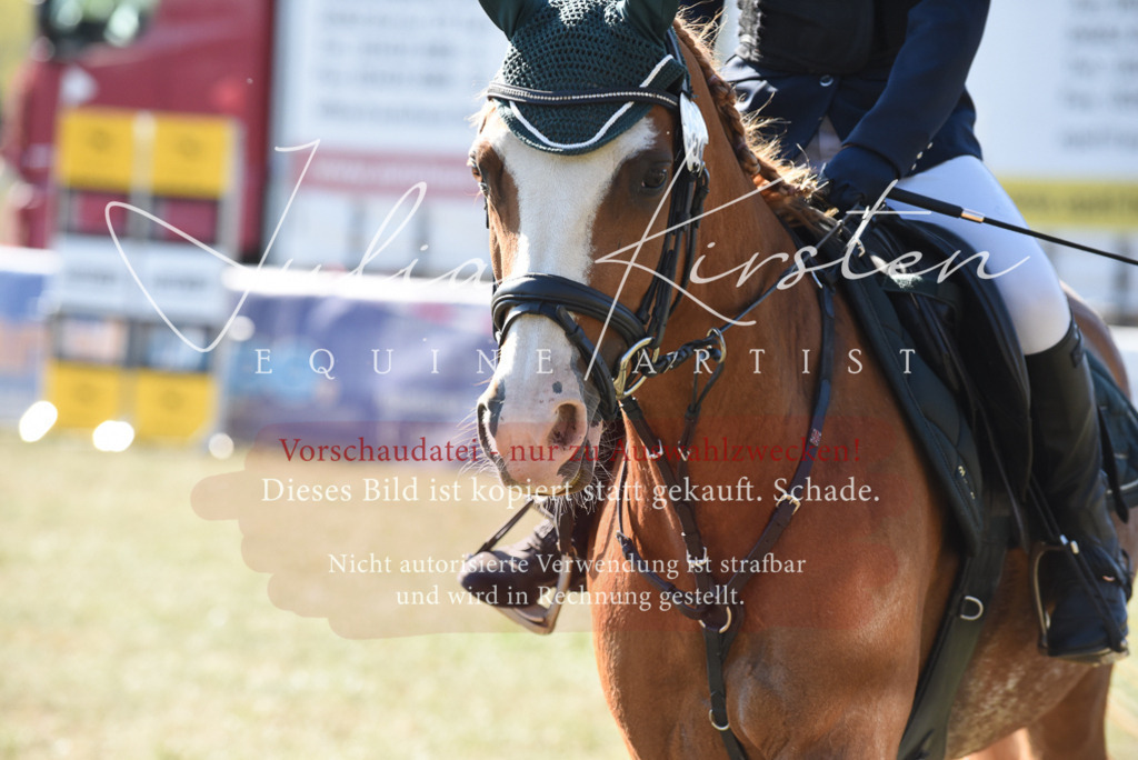 DSC_5991 | Pferde- und Turnierfotografie in Westsachsen. Pferdeportraits, Auftragszeichnungen und intuitive Kunst.