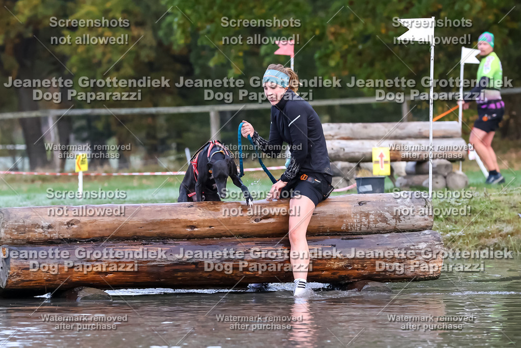 Dog Paparazzi - Strongdog 10-25-6277 | Dog Paparazzi Jeanette Grottendiek Fotografie & Videografie - Realisiert mit Pictrs.com