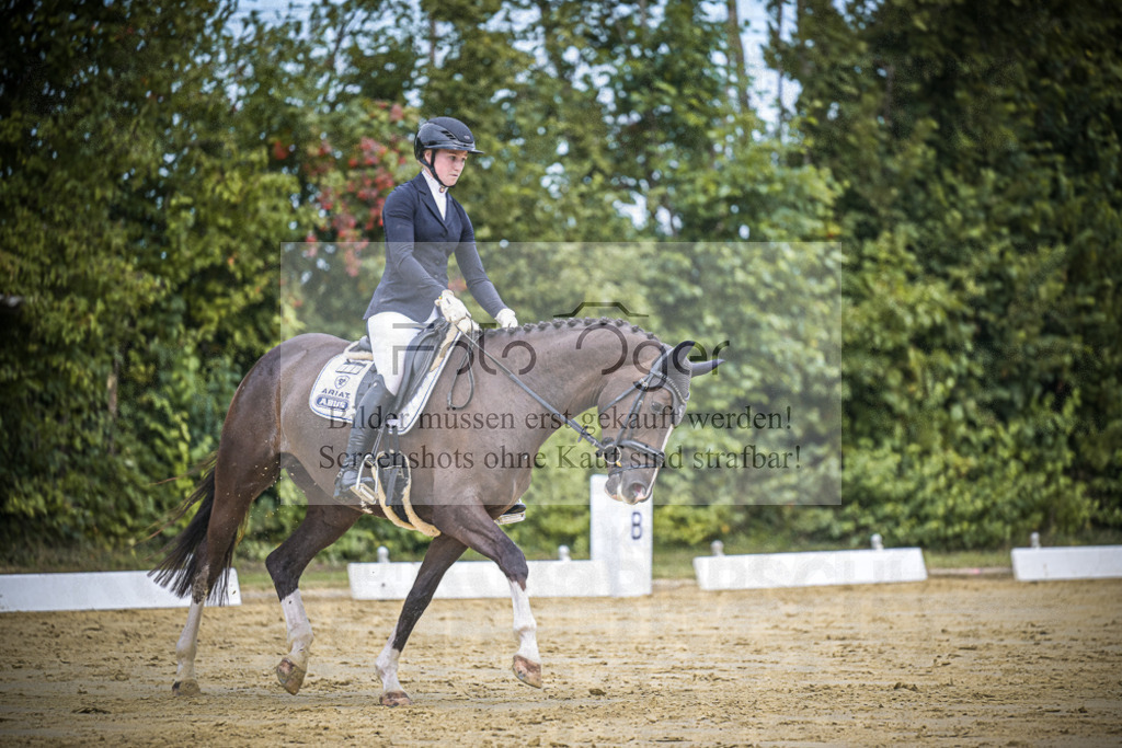 DOS_1847 | Entdecke hochwertige Reitturnierfotos von Foto Oger. Professionell, emotional und authentisch – jetzt Lieblingsmomente im Shop bestellen.Deutschlandweite Turnierfotografie. - Realisiert mit Pictrs.com