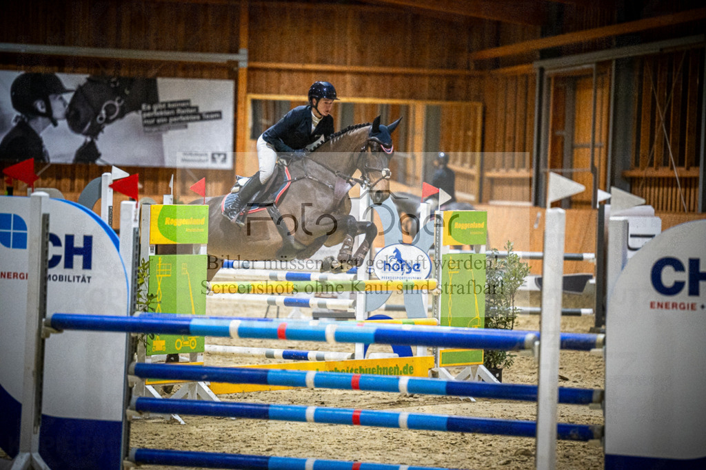 DOS_1356 | Entdecke hochwertige Reitturnierfotos von Foto Oger. Professionell, emotional und authentisch – jetzt Lieblingsmomente im Shop bestellen.Deutschlandweite Turnierfotografie. - Realisiert mit Pictrs.com