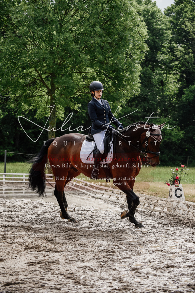 DSC_9574 | Pferde- und Turnierfotografie in Westsachsen. Pferdeportraits, Auftragszeichnungen und intuitive Kunst.
