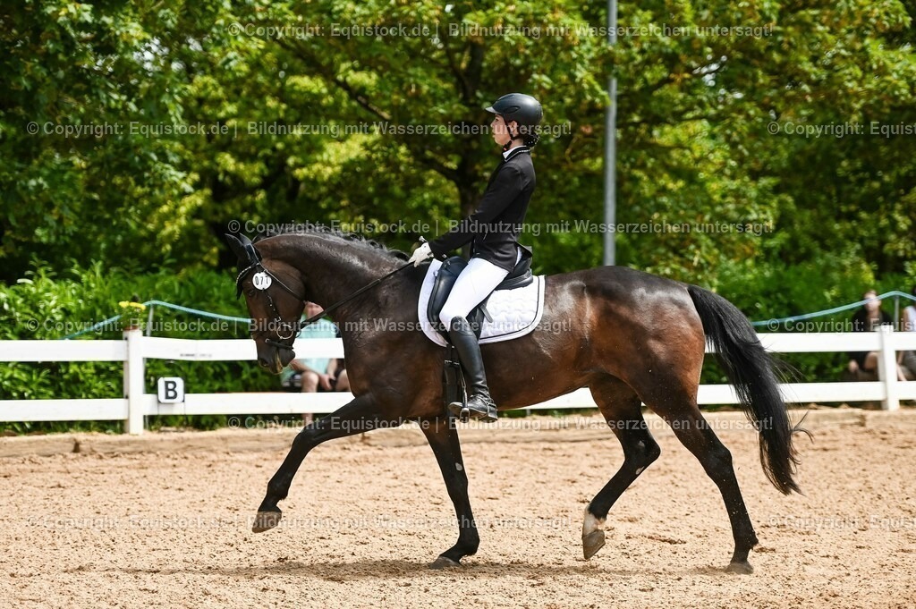 20230716_03_Dressurprfg. Kl.L - Tr._0568 | equistock
