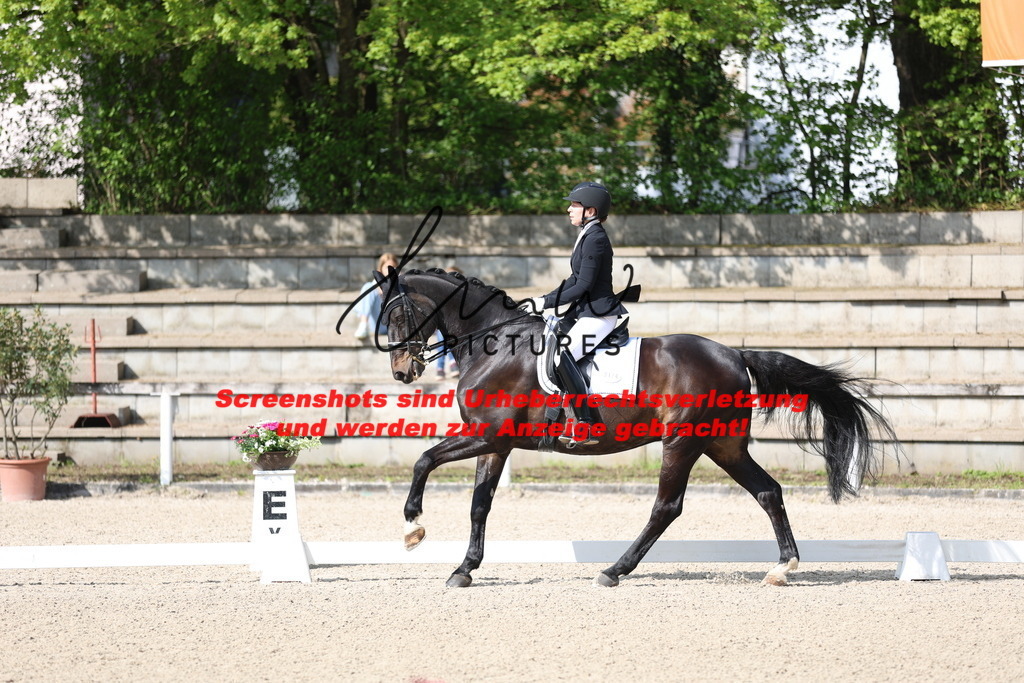 A40A3807 | lmwpictures - Realisiert mit Pictrs.com