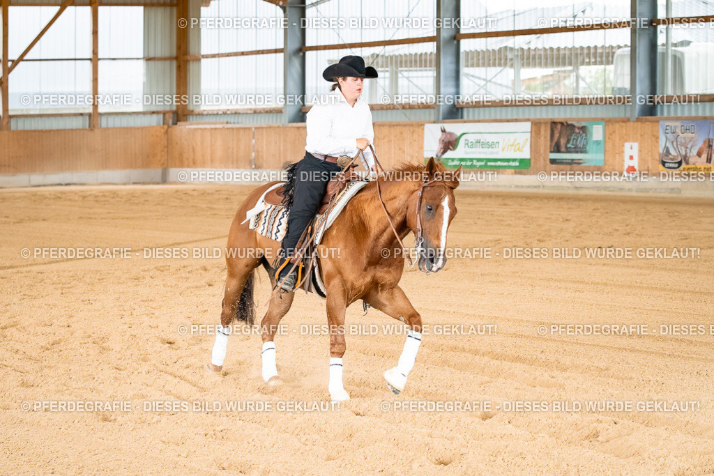 DSC02420 | Pferdegrafie