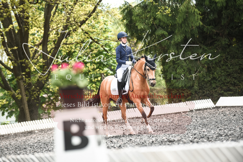 20230514_JK-Röhrsdorf-24-318 | Pferde- und Turnierfotografie in Westsachsen. Pferdeportraits, Auftragszeichnungen und intuitive Kunst.