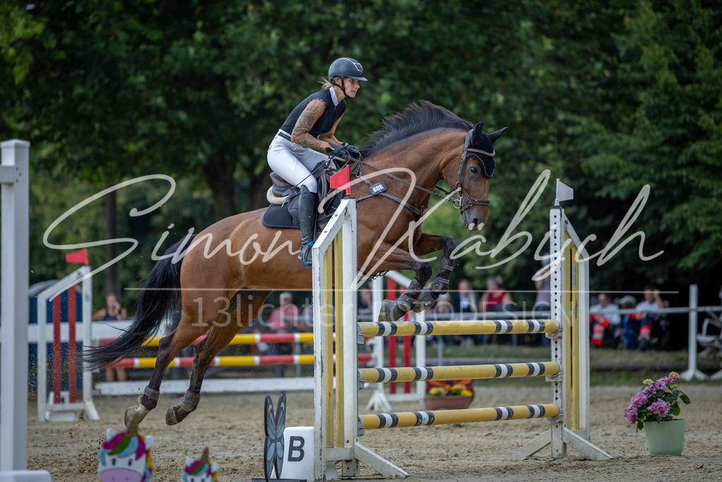 20260704-_3LI1547 | Tierfotografie Pferde, Hunde, Katzen, Haustiere.
Turnierfotografie Reitturniere, Reiten, Springreiten, Dressur in Hanau, dem Main-Kinzig-Kreis und dem Rhein-Main- Gebiet um Frankfurt