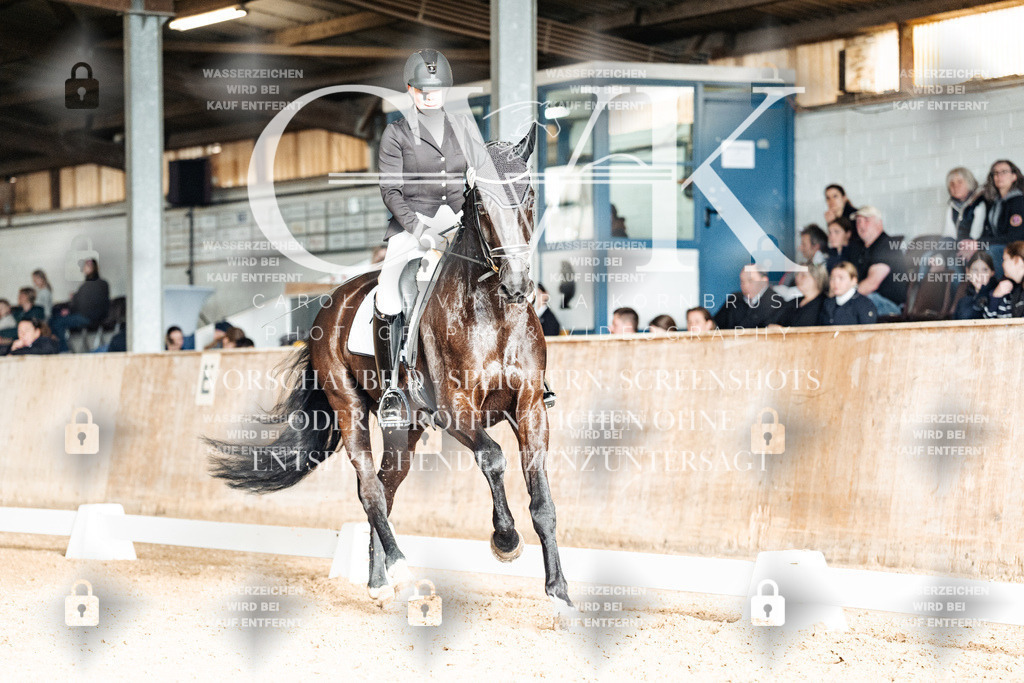 CK902876 | Turnierfotografie Pferdefotografie Trier Rheinland-Pfalz Pferdesport Reitsport Tierfotografie Sportfotografie Pferdevideo Pferdevideografie Equestrianvideography equestrianphotography  - Realized with Pictrs.com
