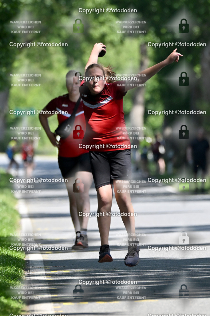 DSC_1211 | Johanna Runge / Schweinebrück / wJD Holz