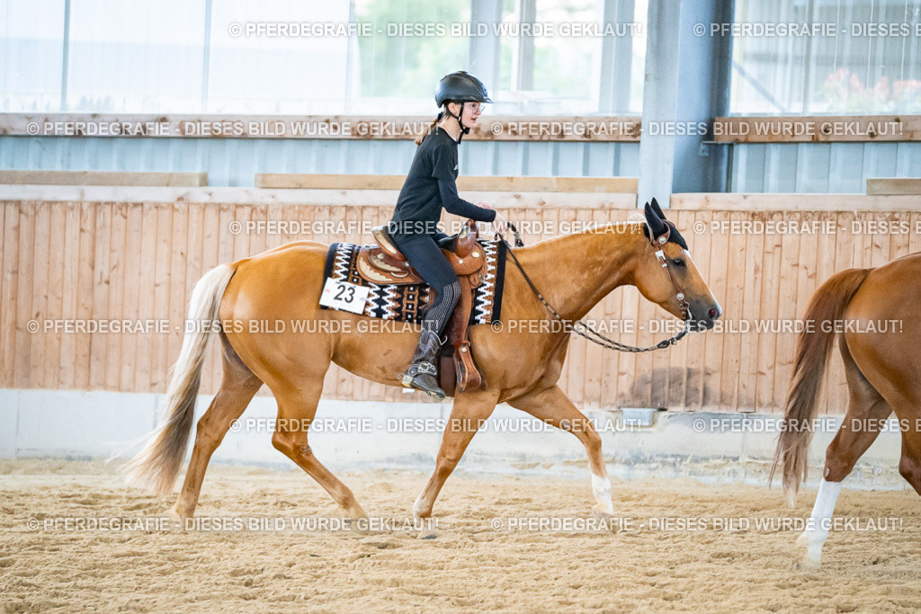 DSC09271 | Pferdegrafie